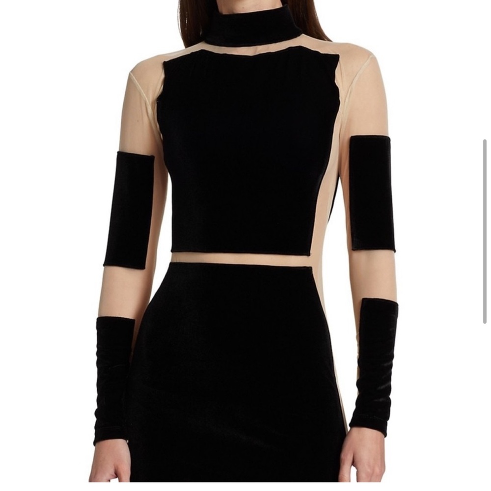 Christian Cowan Sheer Mesh & Velvet Mini Dress